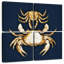 Crabes bruns bleu marine-109098599