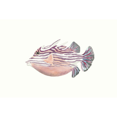 Tropical Fish II - Wrapped Canvas Painting