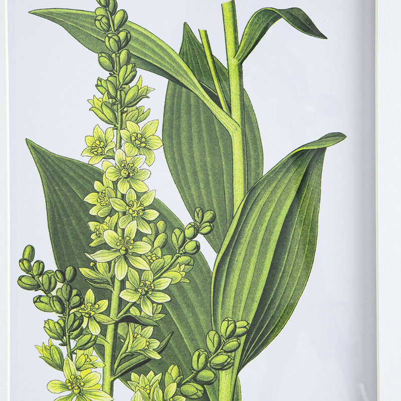 4 ornements muraux de fleurs, 20 par 28 pouces, pour la décoration de la maison dans différents espaces, élégance classique, art naturel, décor de plusieurs pièces, style, élément de nature intérieure