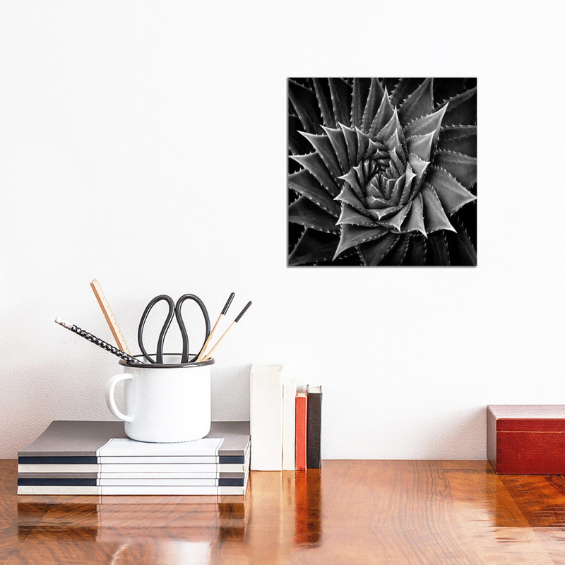 Succulent I 1 Piece Wrapped Canvas Wall Art, 30.48 cm H x 30.48 cm W