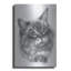 «Kitty» par Barbara Keith-1994975308