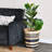 WFX Utility™ Asees Wicker Basket