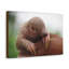 Wall Art on Canvas-1351301716