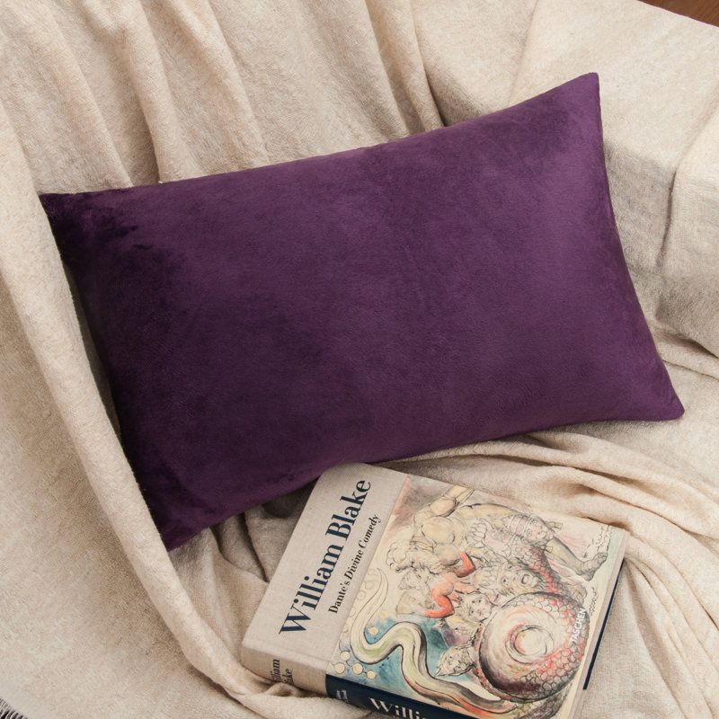 Square Zippered Throw Pillow Cover, Luxury Velvet Cover, Super Soft - NTBAY, Purple