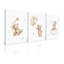3 Piece Wrapped Canvas Print-870629301