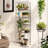 Lothario 63" H x 21.26" W x 11.42" D Shelving Rack-1647052230
