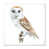Cadre photo blanc