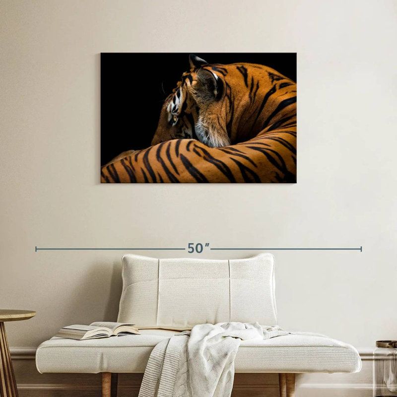 Tigre majestueux Brampt, H 24 po x l 36 po