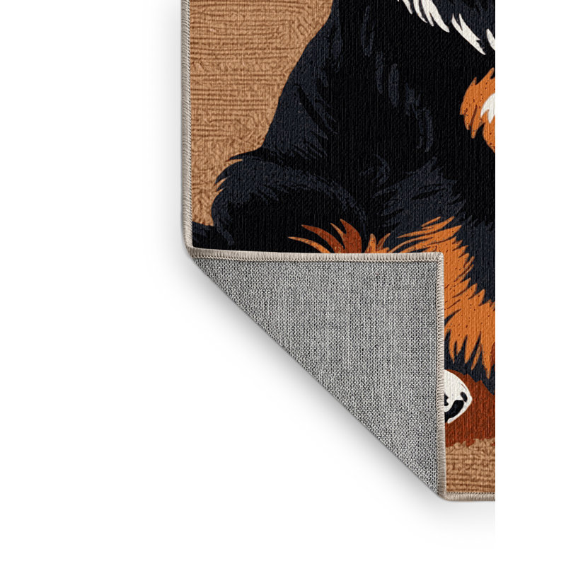  Tapis lavable pour bouvier bernois, Rectangle 5 pi x 7 pi