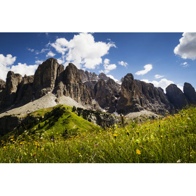 " Meadow In Dolomites "