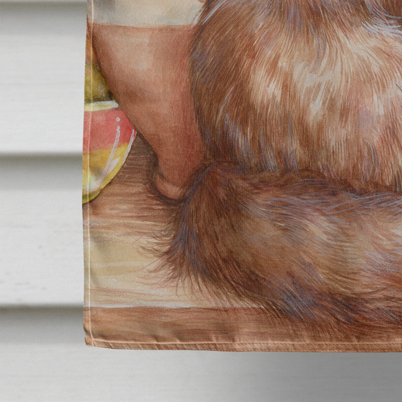 Drapeau de jardin à 2 côtés maine coon chat par debbie cook, H 28 po x l 40 po