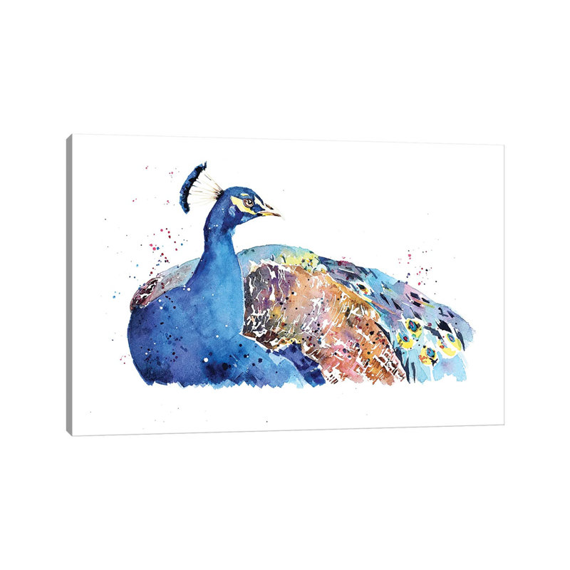 Peacock by EdsWatercolours - Wrapped Canvas Painting, 20.32cm H x 30.48cm W x 1.91cm D