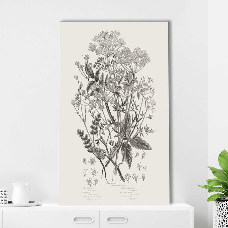 Plantes à fleurs I neutre - Peinture, L 24 po x H 40 po, Toile tendue