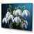 Toile tendue