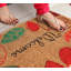 Haleburg Non-Slip Indoor Doormat