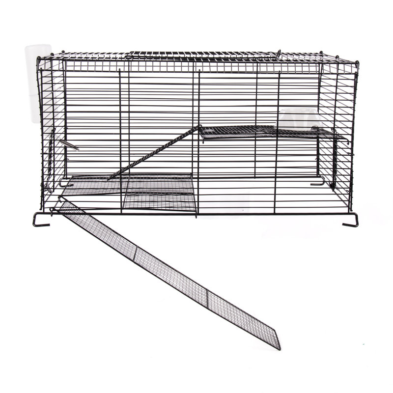 Petite cage à profil haut pour petits animaux à l'épreuve du mâchouillage