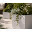 Daisy Square Stone Effect Planter Pot, Indoor and Outdoor Plant Pot, Frost Resistant with Drainage Hole-656968719-656968716