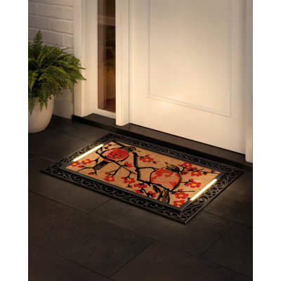 Tapis d'entrée Barnsdale avec lumières DEL activées par pression, antidérapant, toutes saisons, extérieur, 45,7 x 76,2 cm, insert en fibre de coco, sans fil, 3 piles AA, arrêt automatique, 96,5 x 67,3 cm