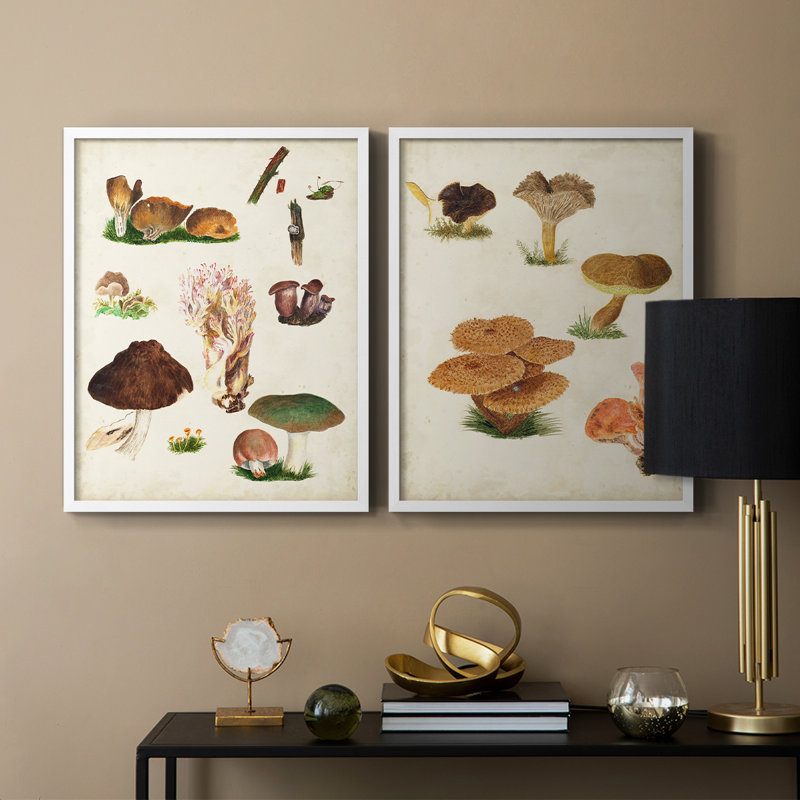 Reproduction encadrée de qualité supérieure de champignon - prêt à accrocher - aucun clou requis, Blanc, H 21 po x l 34 po
