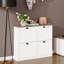 Cole Shoe Storage Cabinet with 4 Flip Drawers & Adjustable Shelf