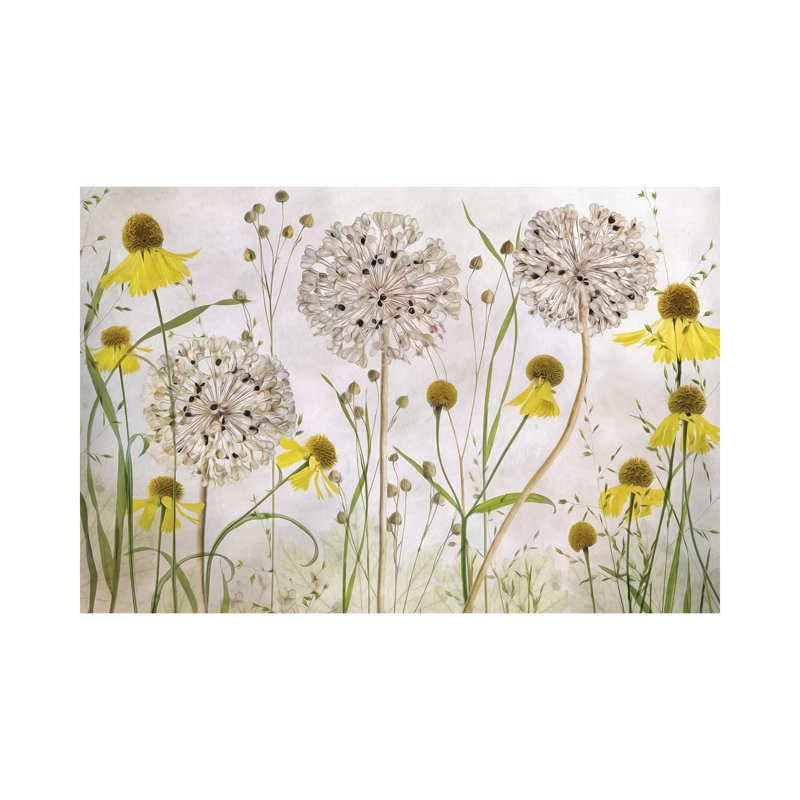 Alliums And Heleniums by Mandy Disher - Print on Canvas, Wrapped Canvas, 66.04cm H x 101.6cm W x 3.81cm D