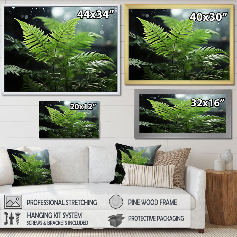 " Ferns Close Up Photo IV ", H 24 po x l 32 po x P 1 po, Cadre flottant noir