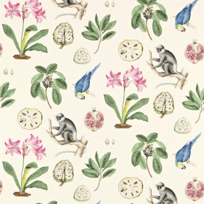 Capuchins Fabric