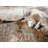 Vladya Abstract design Area Rug-1826530528