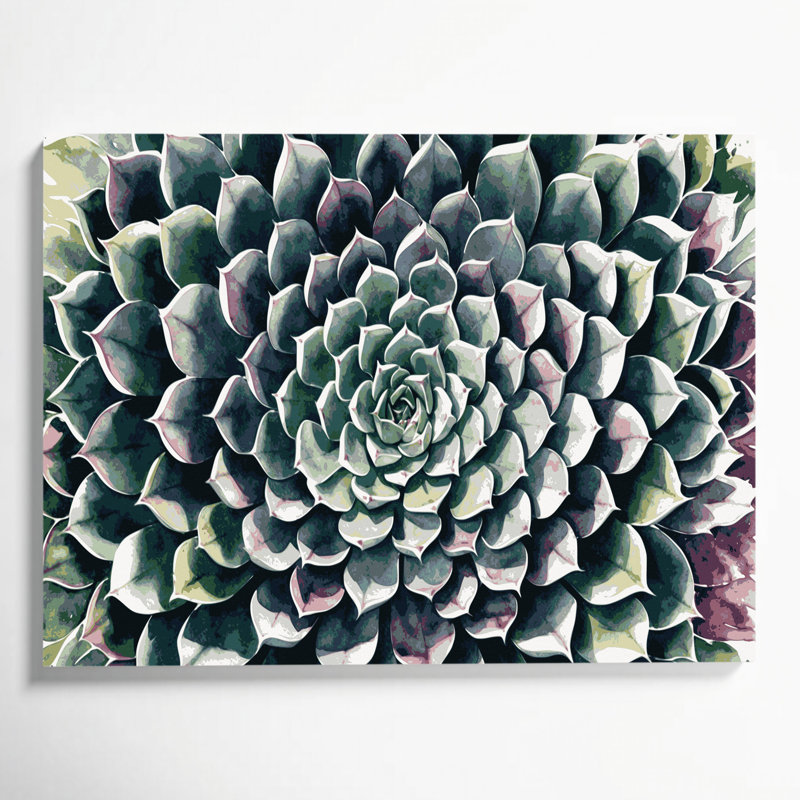Art mural sur toile Botanical Echeveria, H 16 po x l 20 po