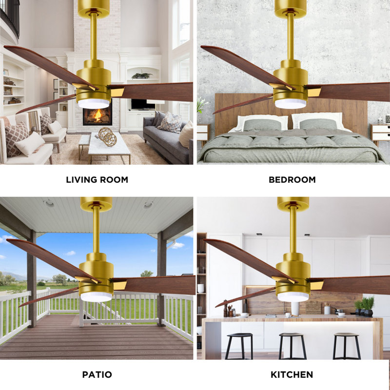 Alessandra - Three Blade Transitional Ceiling Fan -LED, Walnut, Brushed Brass, 56"