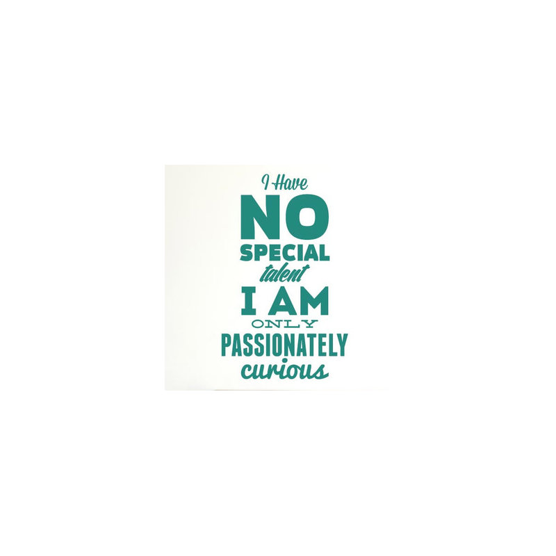 Non-Wall Damaging Wall Decal, Aqua Green, Large
