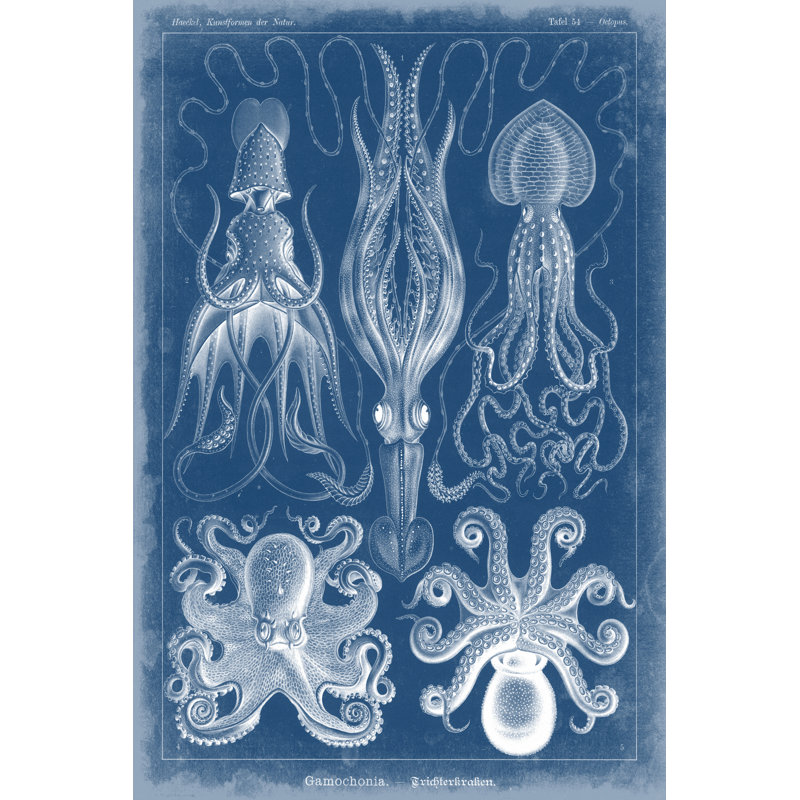 Marine Blueprint V - Wrapped Canvas Print, 76cm H x 51cm W