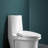 Taranto Elongated Toilet Seat and Lid