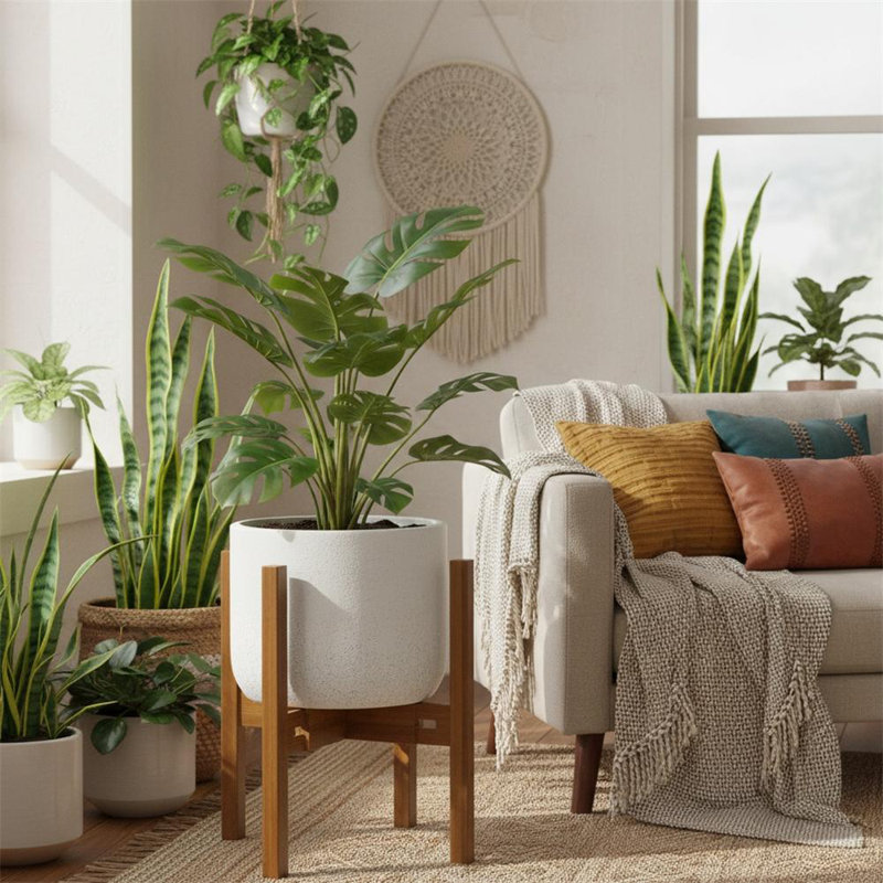 Plant Stand