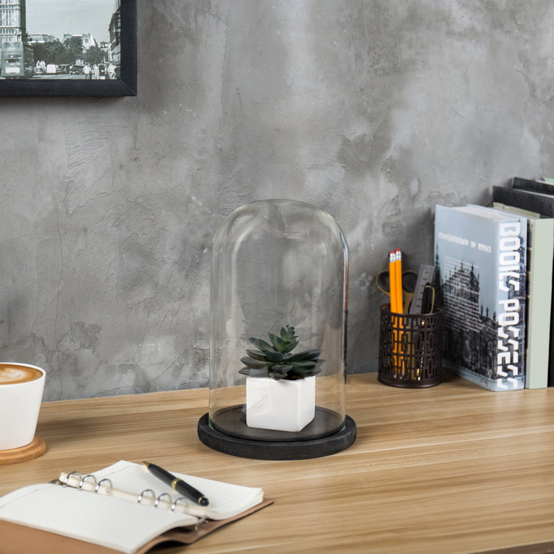 Jealinn Decorative Bell Jar Display Case