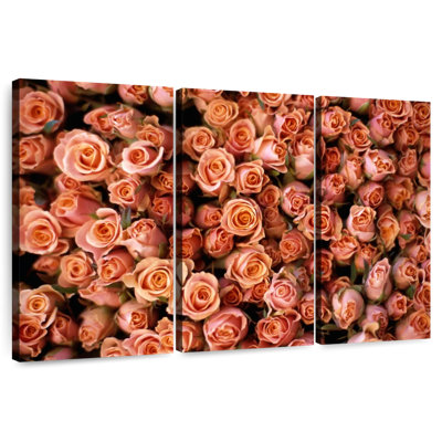 Harnek roses roses au marché Albert Cuyp