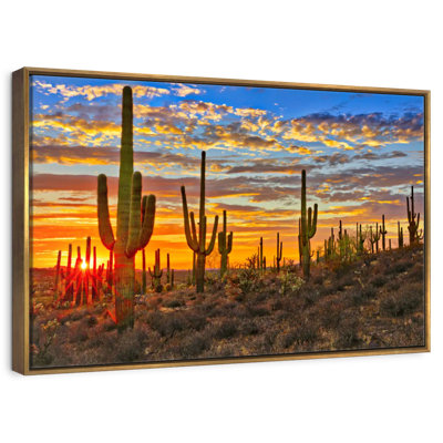 Cactus coucher de soleil
