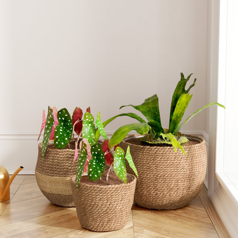 Marnie Pot Planter 3-Piece Set