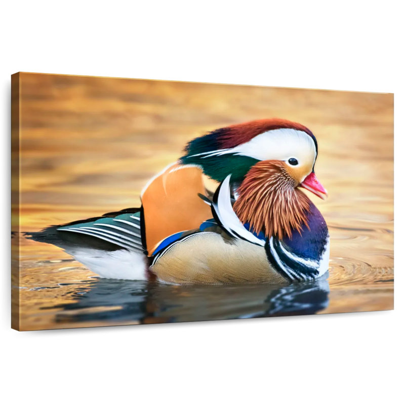Brampt Flamboyant Mandarin Duck, 16" H x 24" W