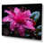 Wrapped Canvas