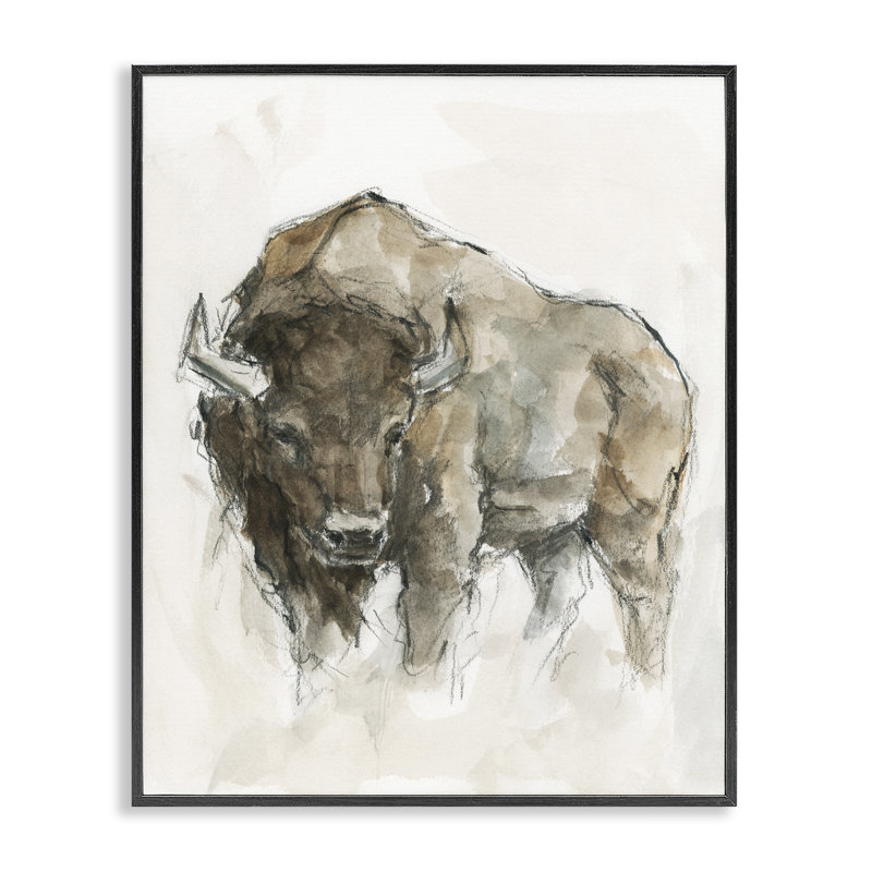 Buffalo Western American Brown Country Animal, Giclée encadrée noir minuit, H 14 po x l 11 po