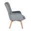 Drucker 68cm Wide Tufted Wingback Chair-870599952