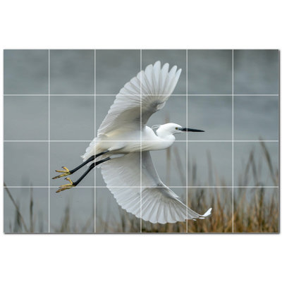 Bird Photo 12'' x 12''
