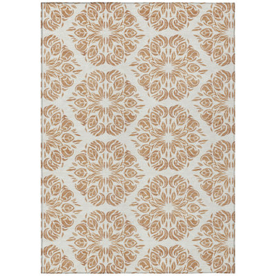 Machine Washable Indoor/Outdoor Chantille ACN2456 Damask Rug