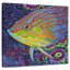 Brampt brillant poisson tropical I-109227148