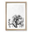 Old Oak Tree - Picture Frame Painting Print-56925261-56925262