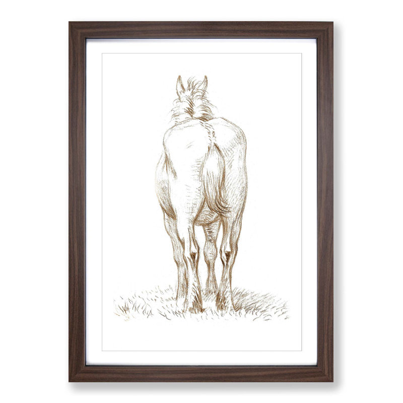 Rear of a Horse by Jean Bernard - Picture Frame Drawing Print, Walnut Framed, 36cm H x 27cm W x 2cm D