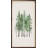 Watercolor Coniferous-792443976