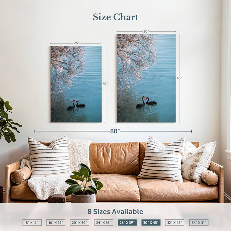 Brampt Black Swans Sakura, 39" H x 26" W