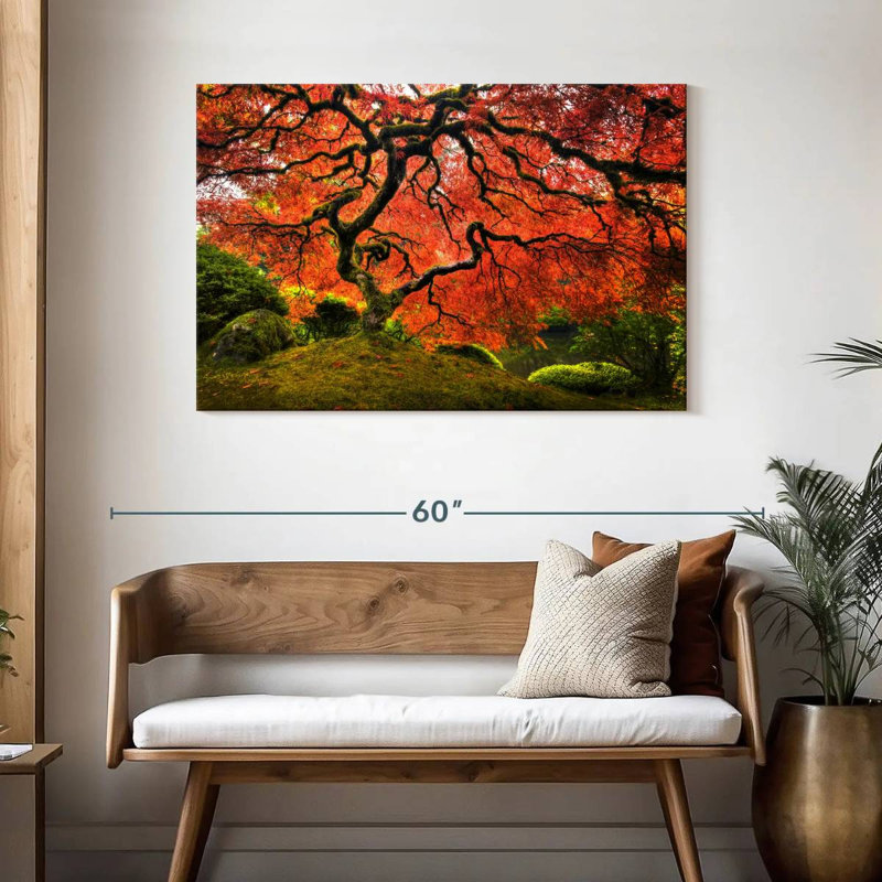 Harnek Japanese Maple, 30" H x 45" W